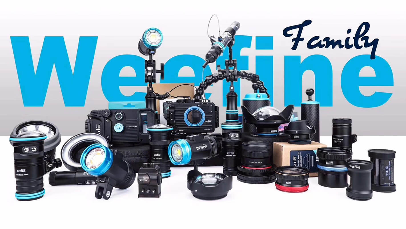 Marketing Asset