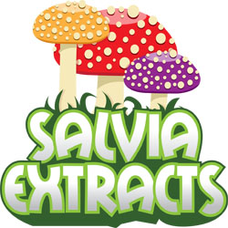 SalviaExtract