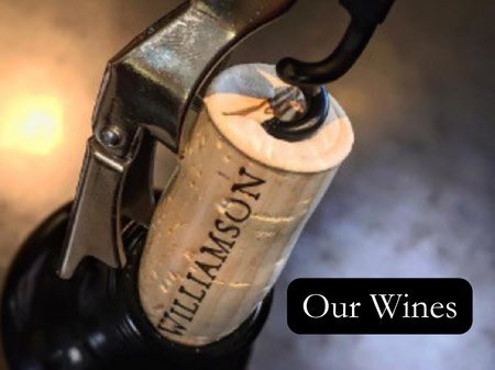 A Detailed listing of our available wines